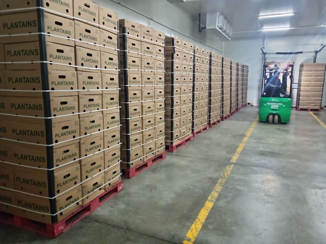 Cold storage masivo con montacargas
