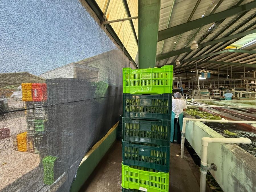 Almacén con cajones organizados