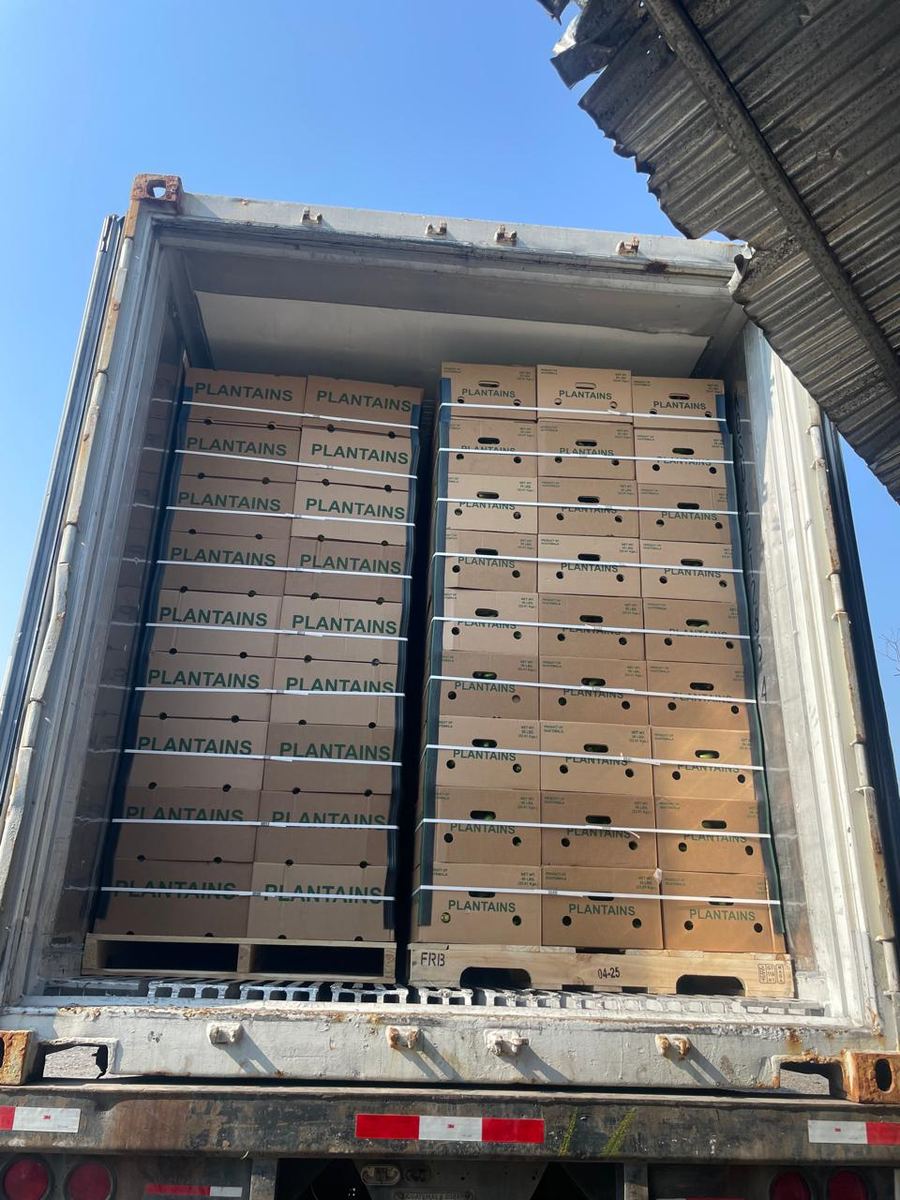 Contenedor cargado completo con cajas PLANTAINS