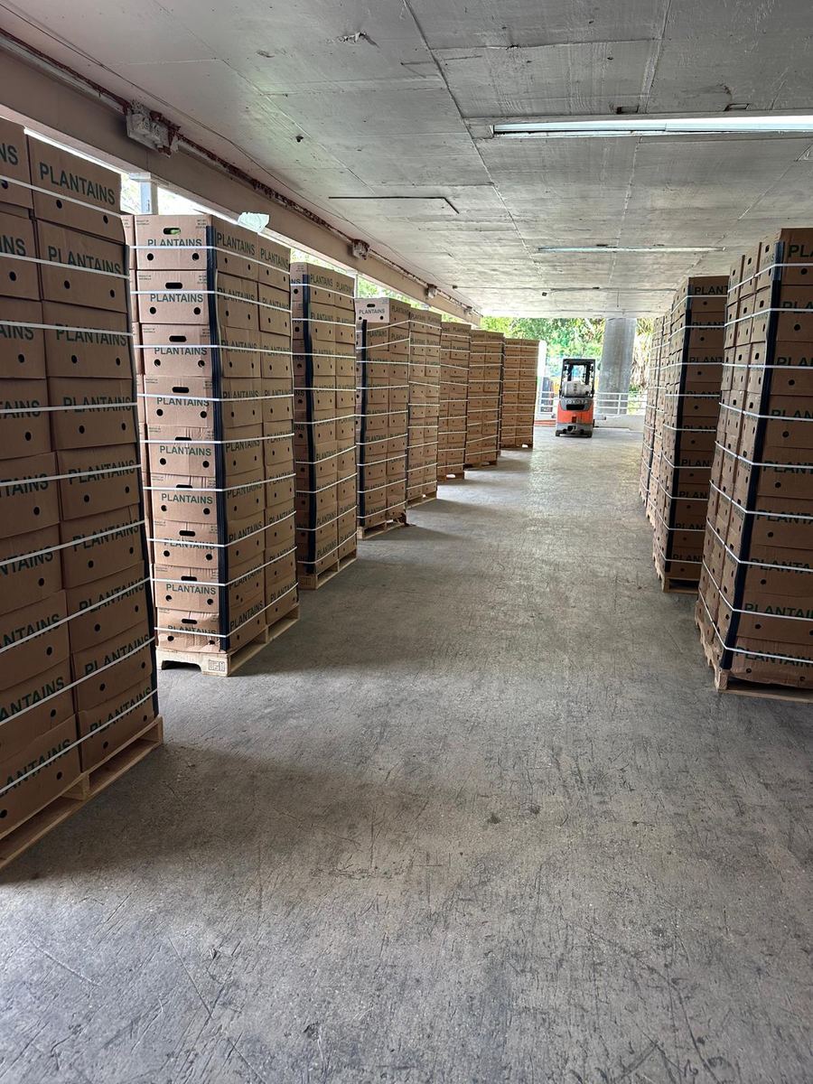 Pasillo de cold storage con torres de cajas