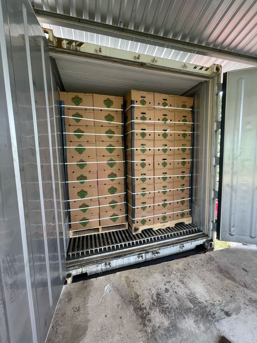 Pallets cargados simétricamente en contenedor