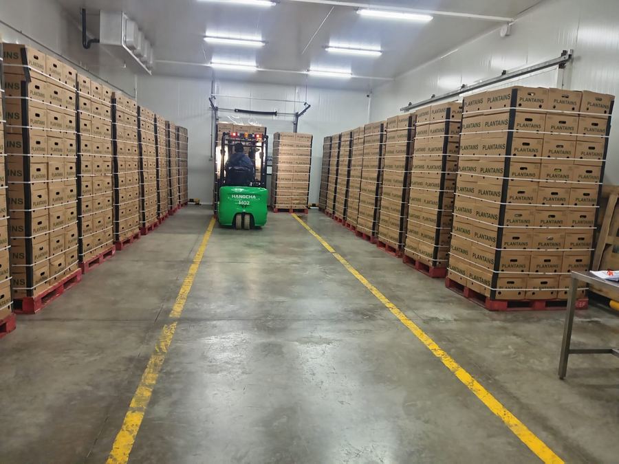 Cold storage con flota de montacargas operando